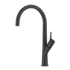 Material de grifo de cocina de estilo común negro